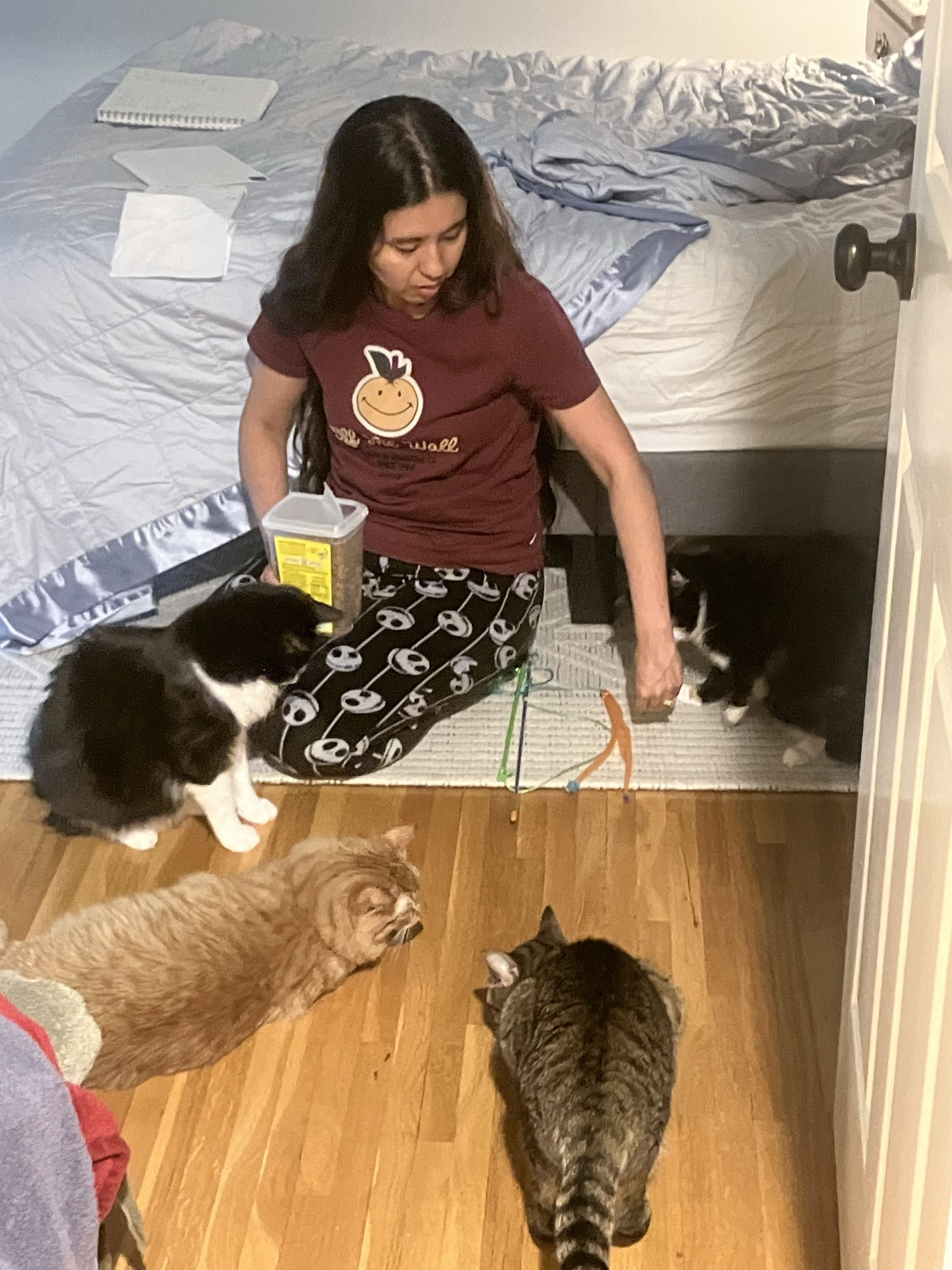 Roselie feeding and playing with a group of cats